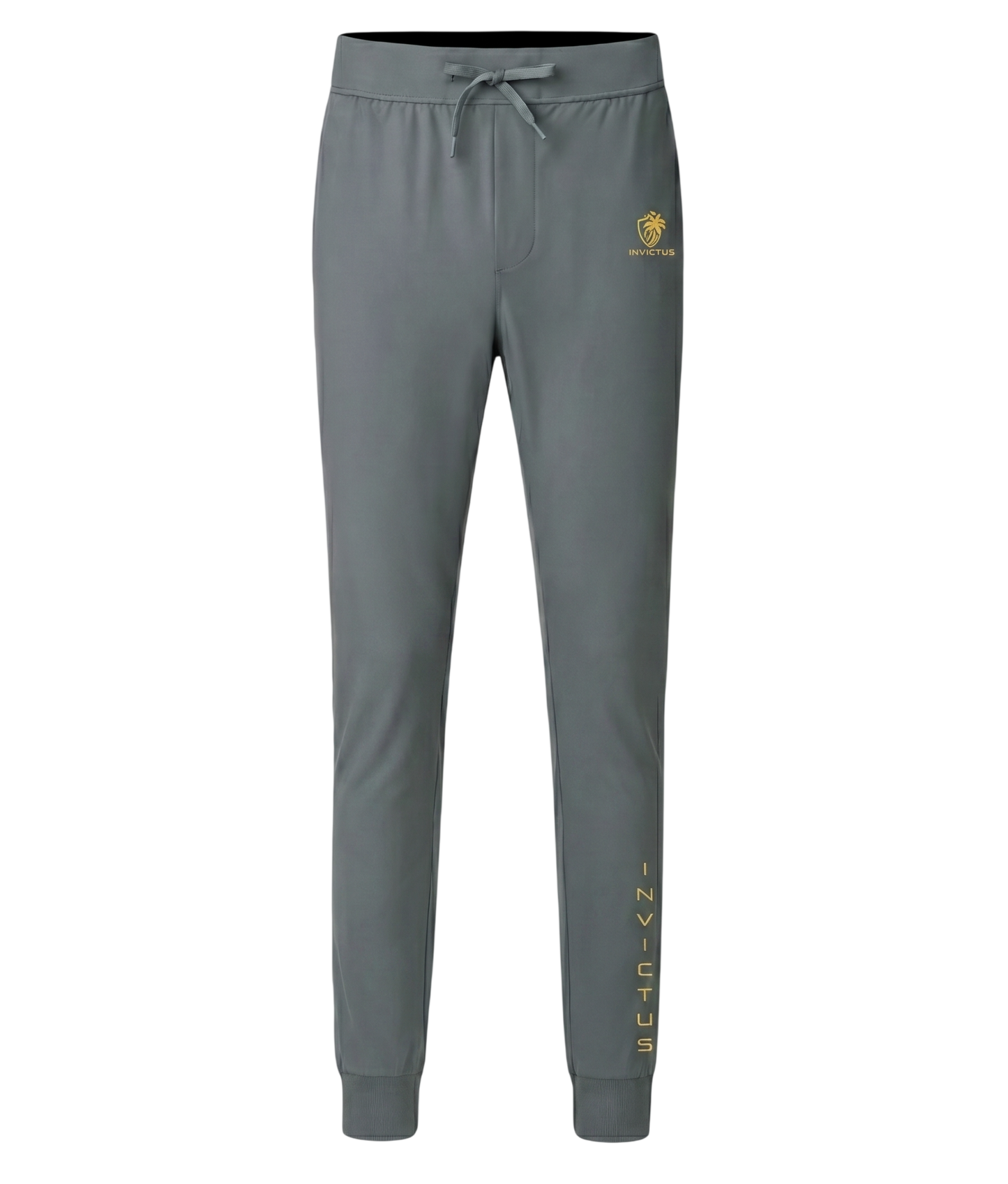 Invictus Elite Training Joggers